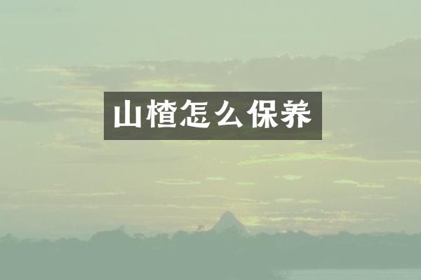 山楂怎么保养