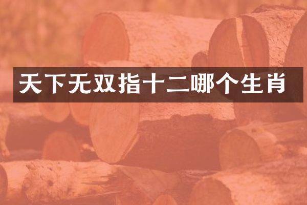 天下无双指十二哪个生肖