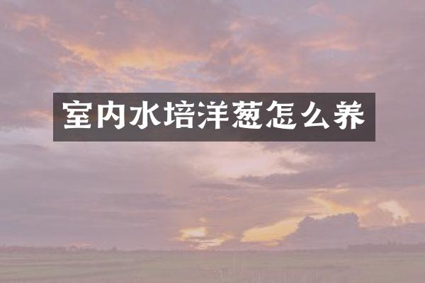 室内水培洋葱怎么养