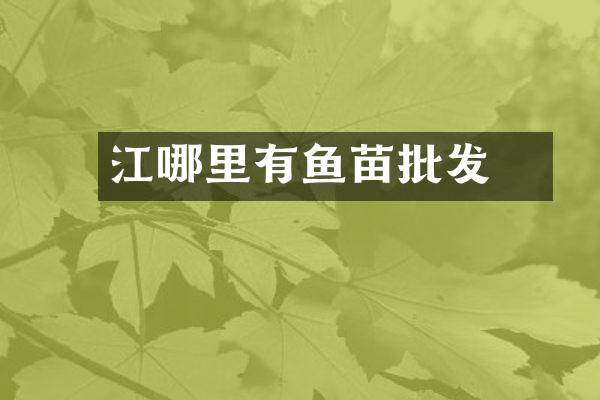 內江哪里有鱼苗批发