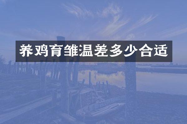 养鸡育雏温差多少合适
