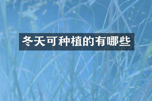 冬天可种植的有哪些