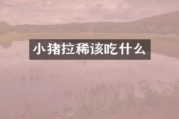 小猪拉稀该吃什么