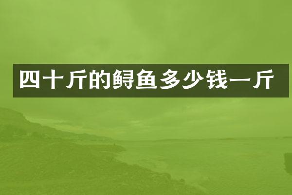 四十斤的鲟鱼多少钱一斤