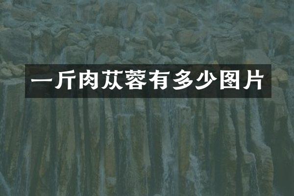 一斤肉苁蓉有多少图片