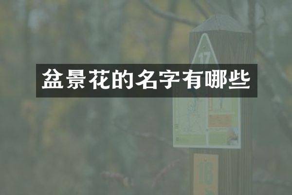 盆景花的名字有哪些
