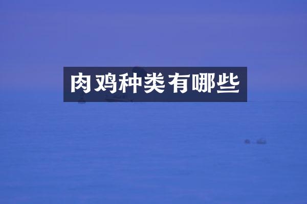 肉鸡种类有哪些