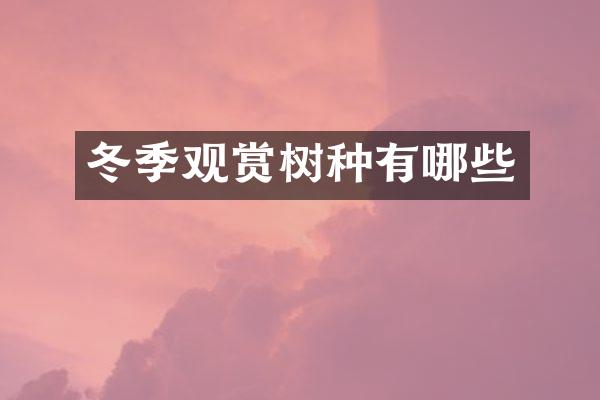 冬季观赏树种有哪些