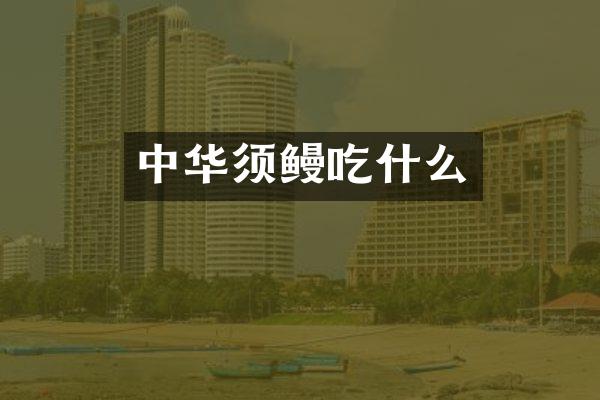 中华须鳗吃什么