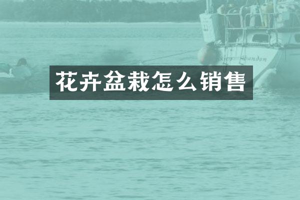 花卉盆栽怎么销售