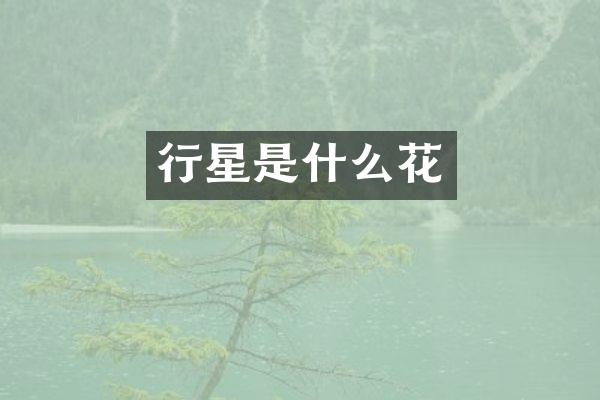 行星是什么花