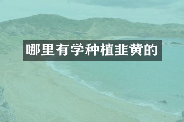 哪里有学种植韭黄的