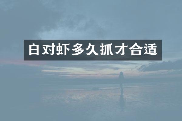 白对虾多久抓才合适