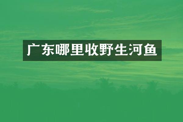 广东哪里收野生河鱼
