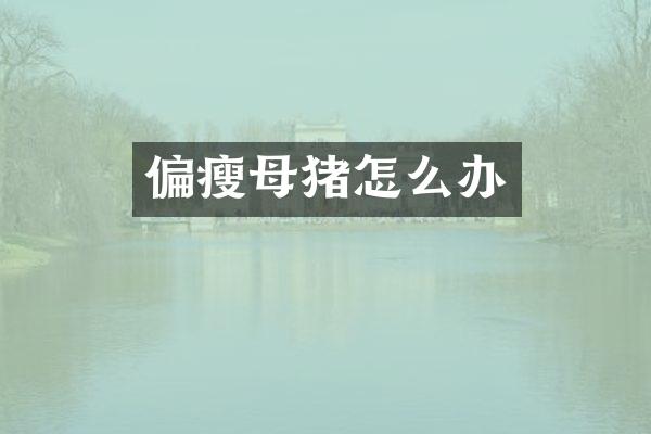 偏瘦母猪怎么办