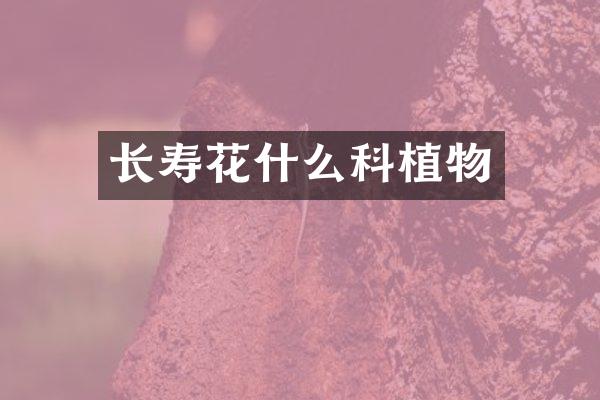 长寿花什么科植物