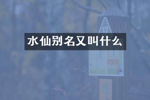 水仙别名又叫什么