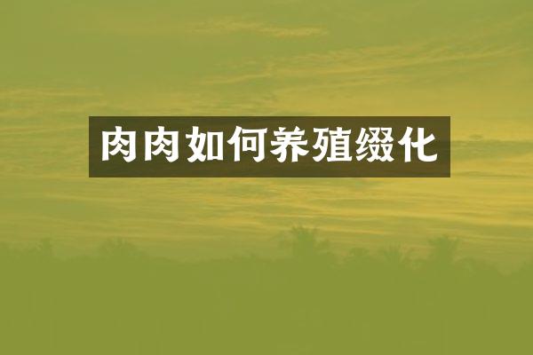 肉肉如何养殖缀化