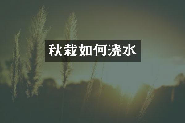 秋栽如何浇水