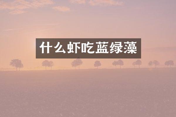 什么虾吃蓝绿藻