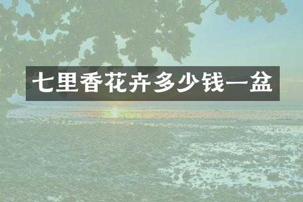 七里香花卉多少钱一盆