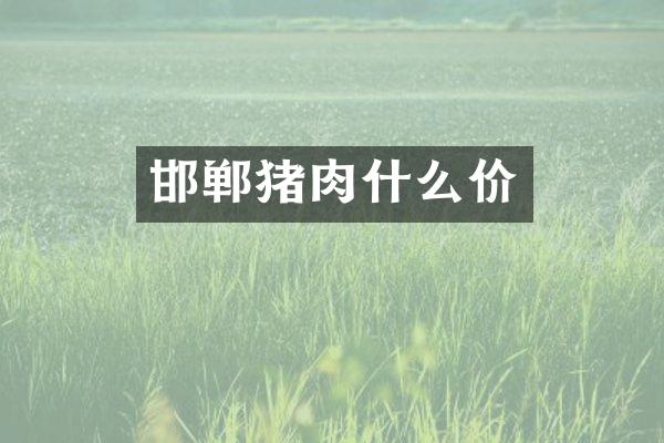 邯郸猪肉什么价