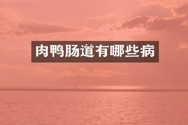 肉鸭肠道有哪些病