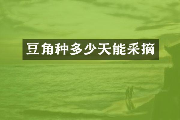 豆角种多少天能采摘
