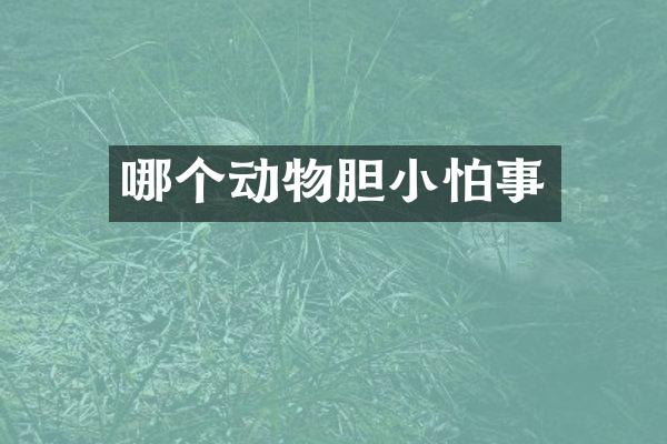 哪个动物胆小怕事