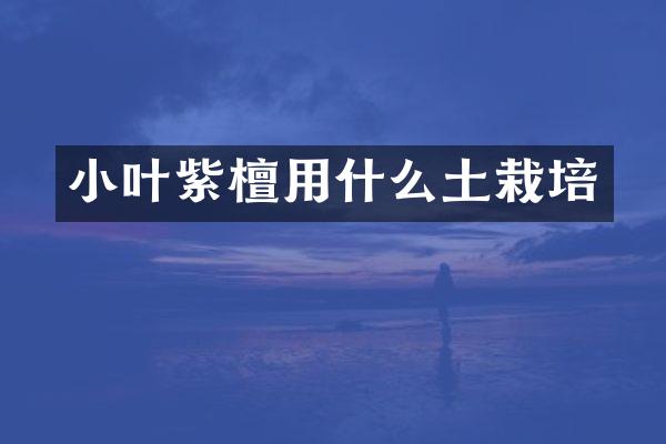小叶紫檀用什么土栽培