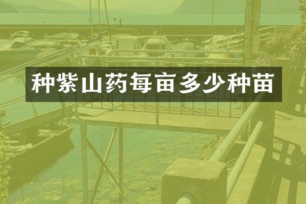 种紫山药每亩多少种苗