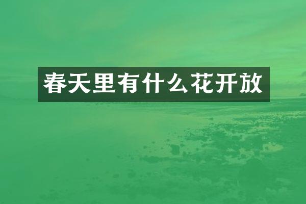 春天里有什么花开放