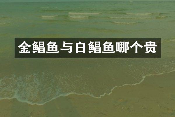 金鲳鱼与白鲳鱼哪个贵
