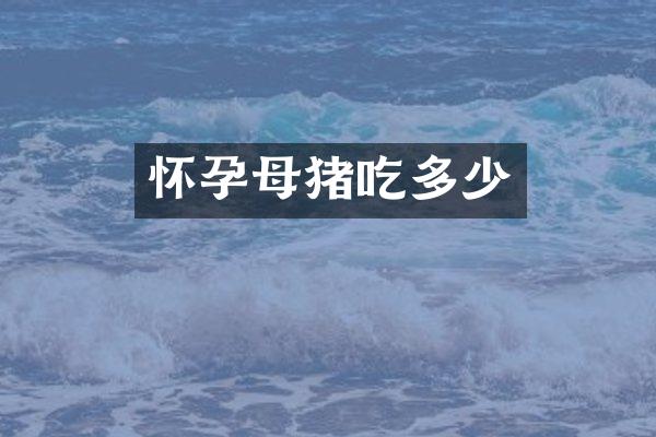 怀孕母猪吃多少