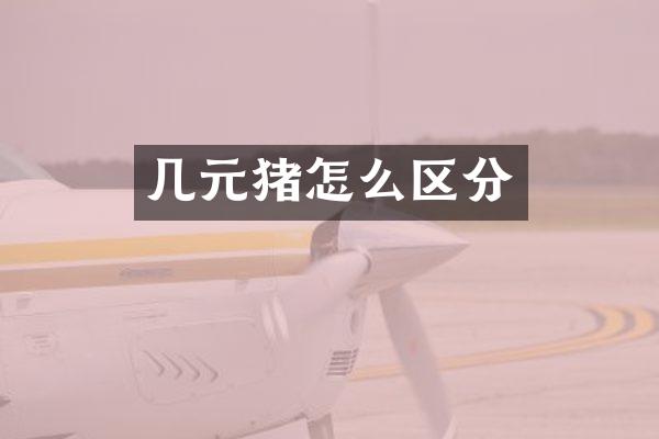 几元猪怎么区分