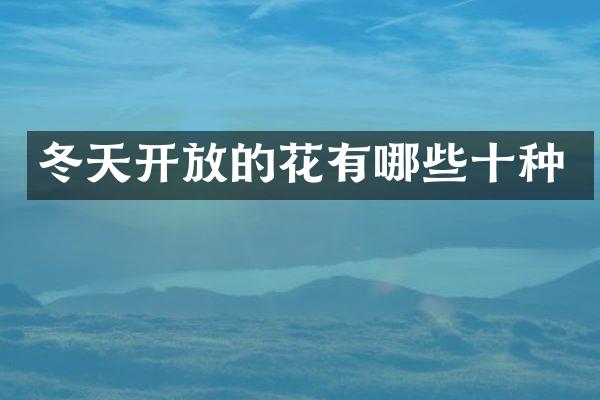 冬天开放的花有哪些十种