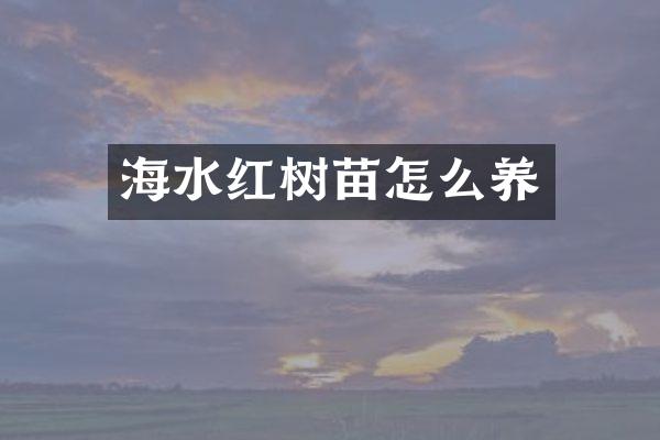 海水红树苗怎么养