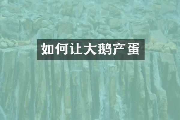 如何让大鹅产蛋