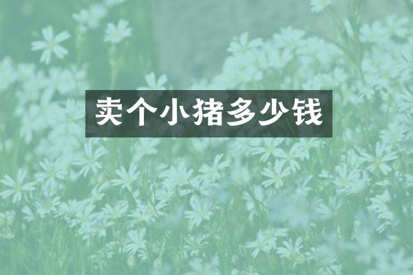 卖个小猪多少钱