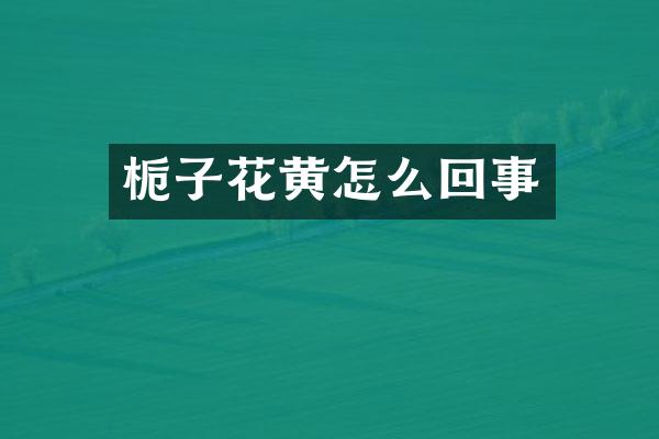 栀子花黄怎么回事