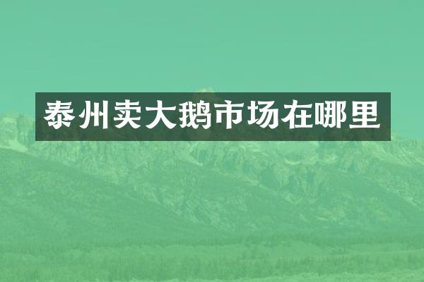 泰州卖大鹅市场在哪里