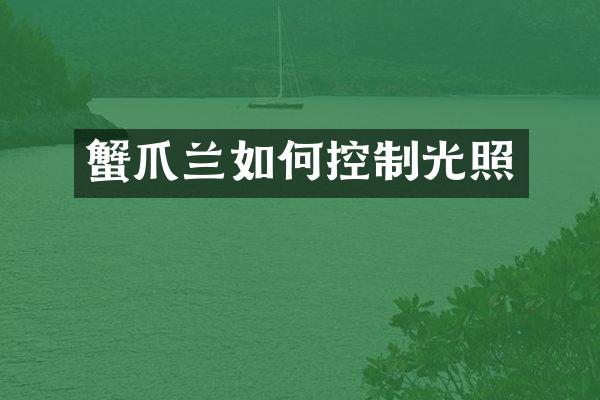 蟹爪兰如何控制光照
