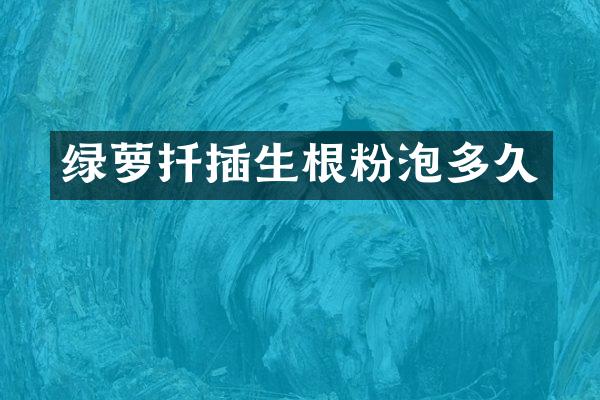 绿萝扦插生根粉泡多久
