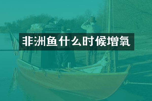 非洲鱼什么时候增氧