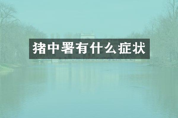 猪中署有什么症状