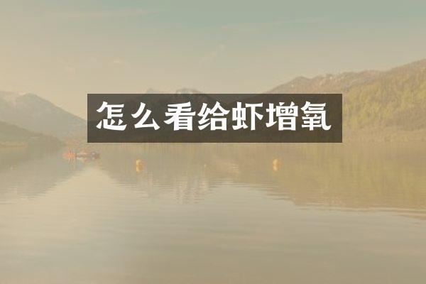 怎么看给虾增氧