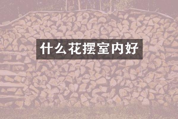 什么花摆室内好