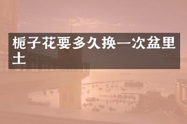 栀子花要多久换一次盆里土