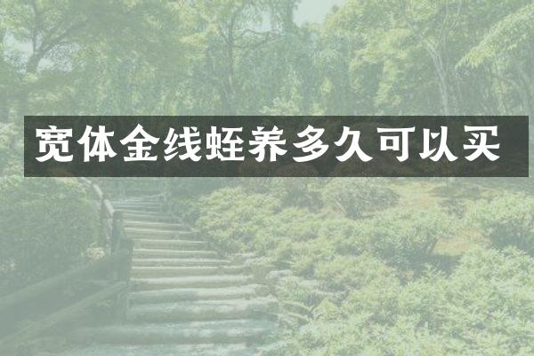 宽体金线蛭养多久可以买