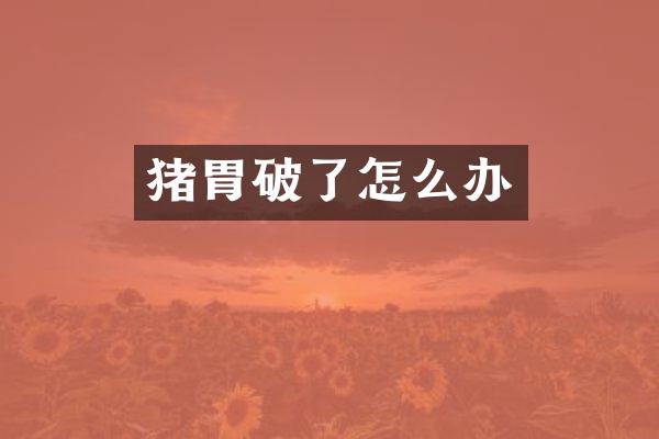 猪胃破了怎么办